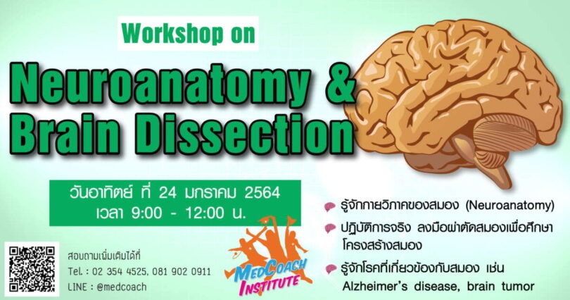  🩺 เปิดรอบเพิ่ม ❗❗ สำหรับน้องๆที่สนใจเข้าร่วมกิจกรรมกายวิภาคศาสตร์ Workshop on Neuroanatomy & Brain Dissection