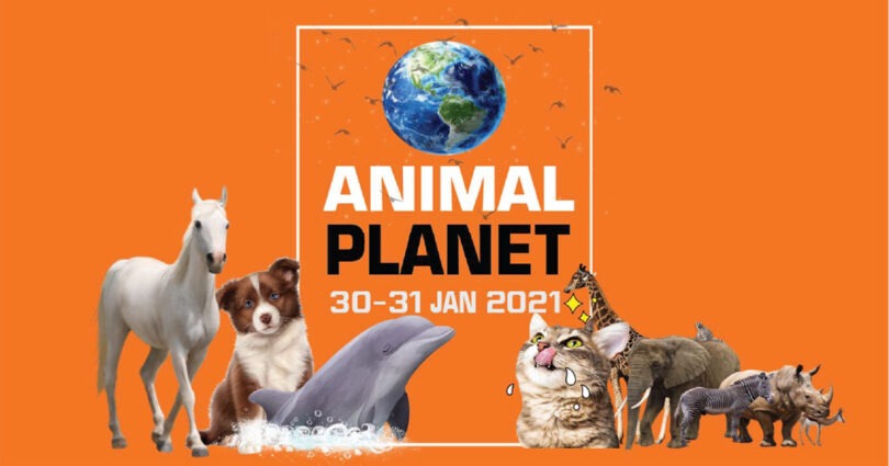  ANIMAL PLANET 2021 (สัตวแพทย์)