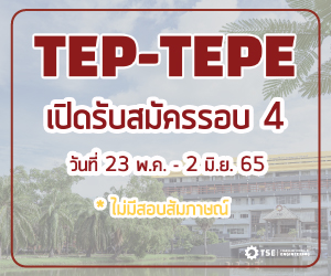 TEP-TEPE4 banner