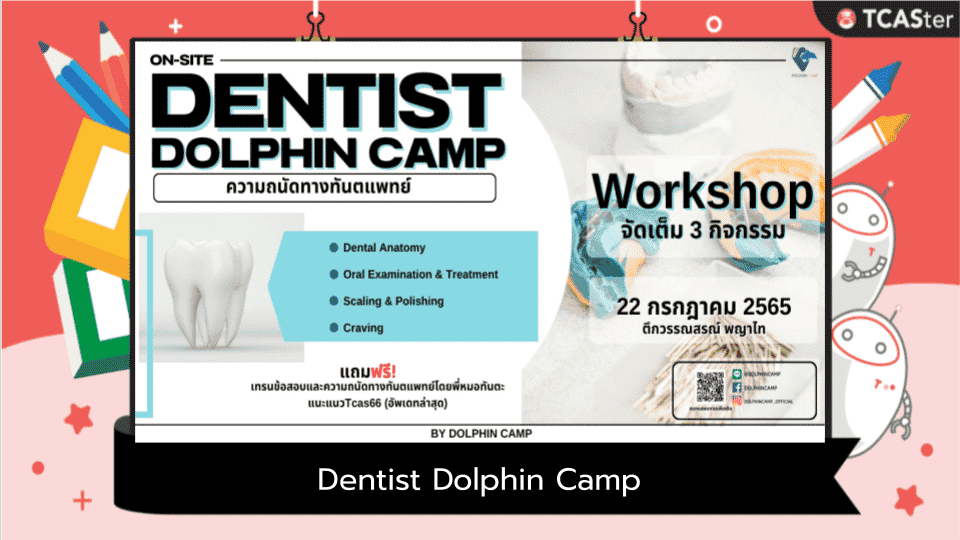  Dentist Dolphin Camp