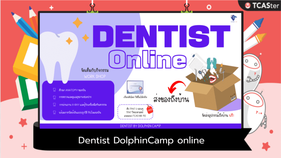  Dentist DolphinCamp online