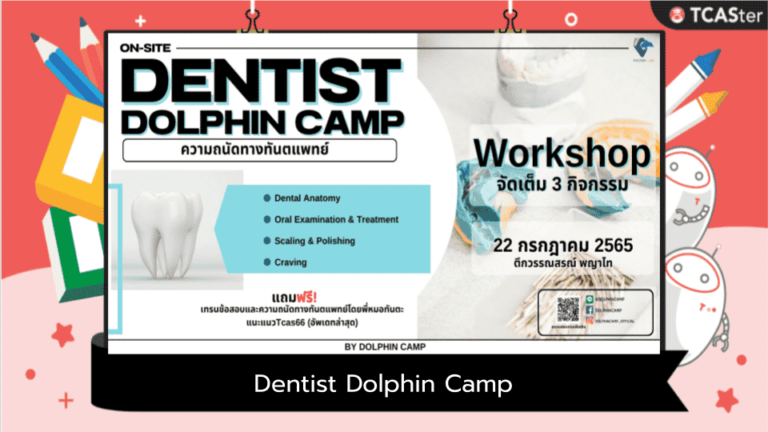 Dentist Dolphin Camp