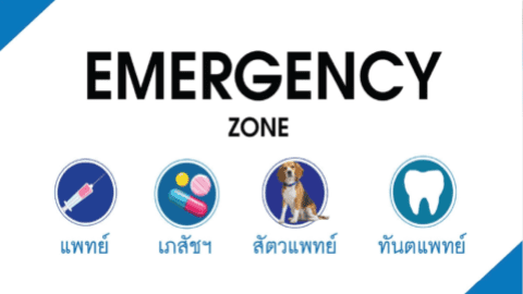 EMERGENCY ZONE (แพทย์ /เภสัชฯ/สัตวแพทย์ /ทันตแพทย์)