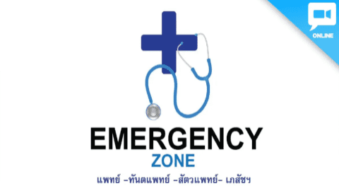 EMERGENCY ZONE (แพทย์/เภสัชฯ/สัตวแพทย์ /ทันตแพทย์)