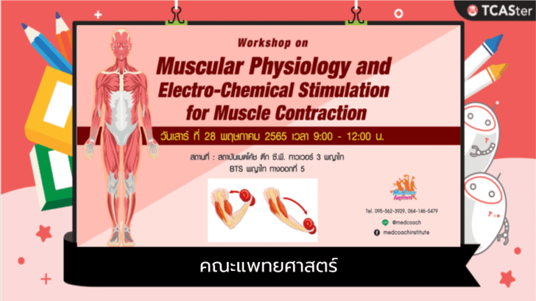 Muscular Physiology and Electro-Chemical Stimulation