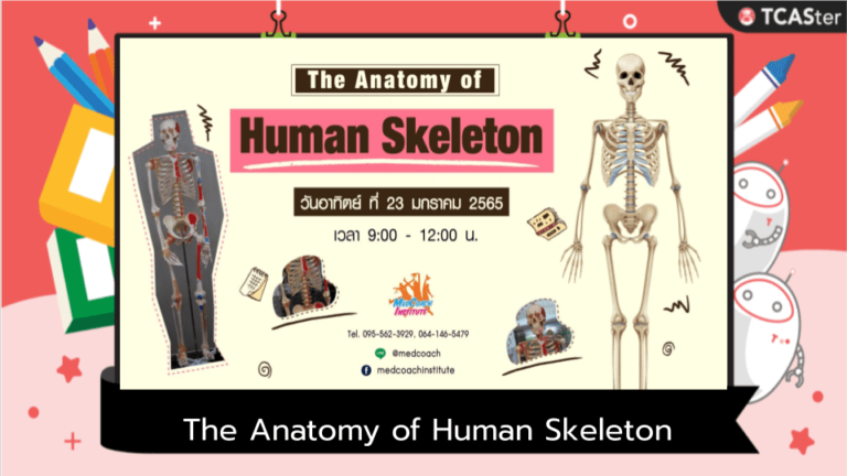 The Anatomy of Human Skeleton