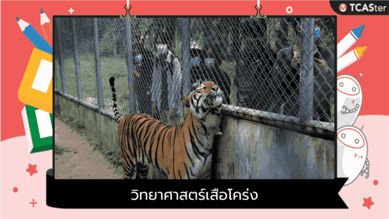 เสือศาสตร์ Tiger Science 101