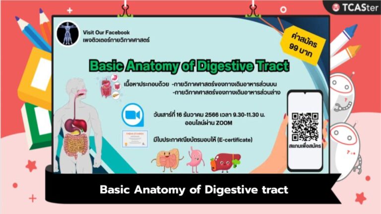 Basic Anatomy of Digestive tract