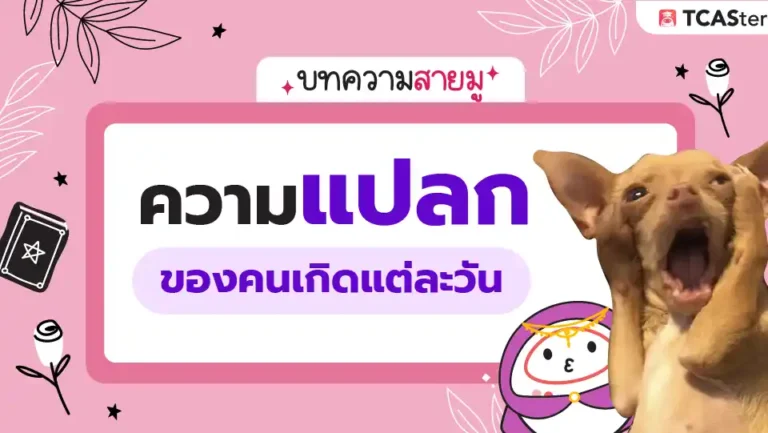ทายนิสัยจากวันเกิด: ความแปลกของคนเกิดแต่ละวัน 🔮