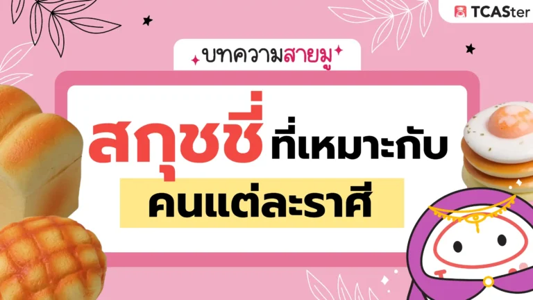 สกุชชี่ที่เหมาะกับคนแต่ละราศี 🧸🔮