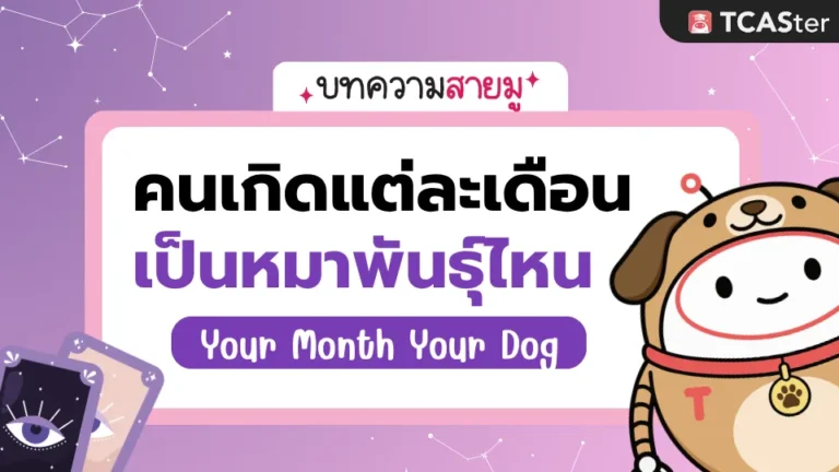คนเกิดแต่ละเดือนเป็นหมาพันธุ์ไหน 🐶 พร้อมคำทำนายดูดวงเดือนเกิด
